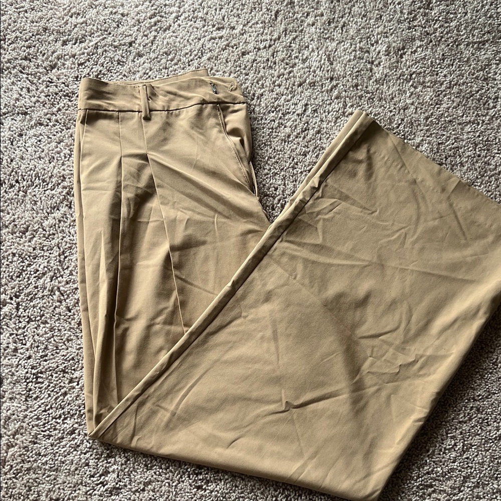 ZARA Women’s Tan Pleated Pants